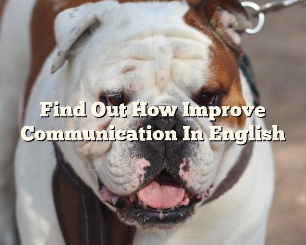 Find Out How Improve Communication In English