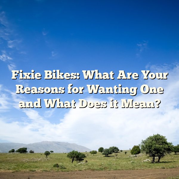 Fixie Bikes: What Are Your Reasons for Wanting One and What Does it Mean?