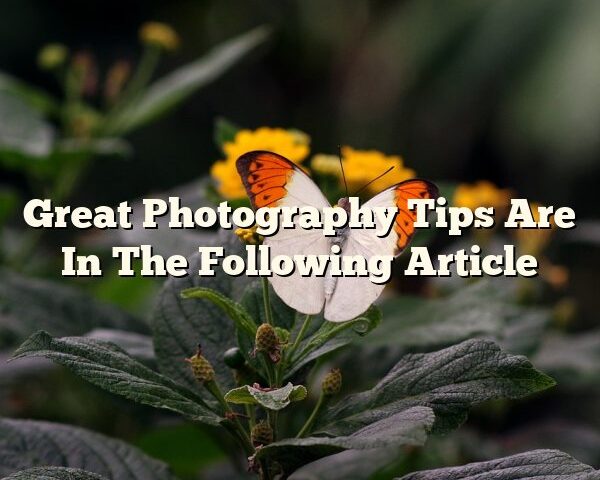 Great Photography Tips Are In The Following Article