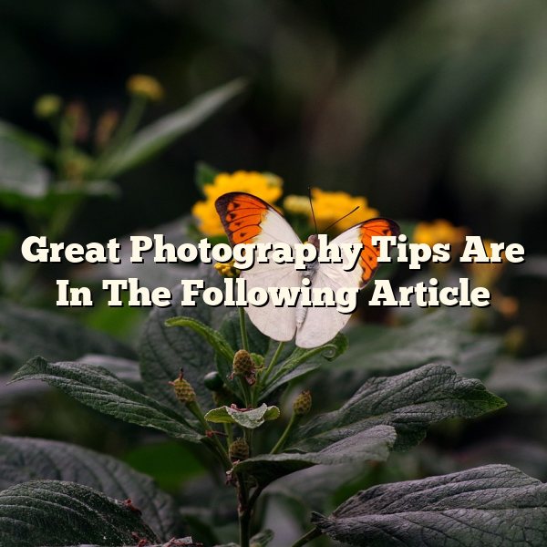 Great Photography Tips Are In The Following Article