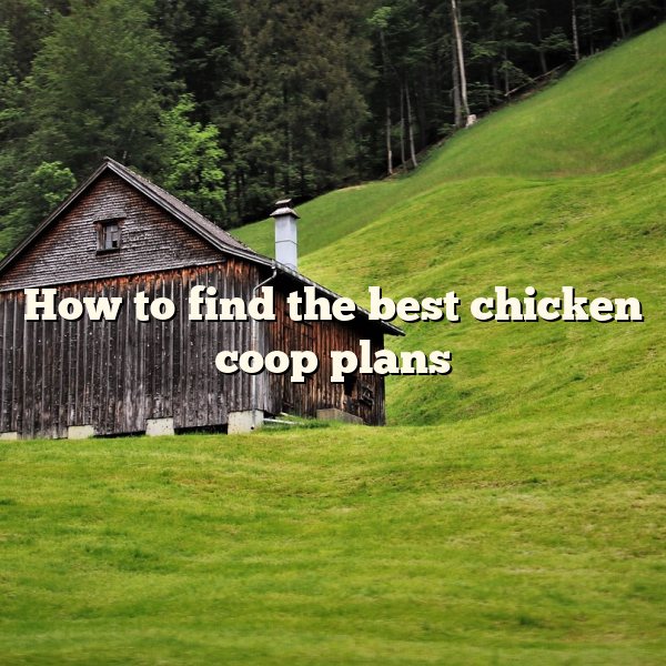 How to	find the best chicken coop plans