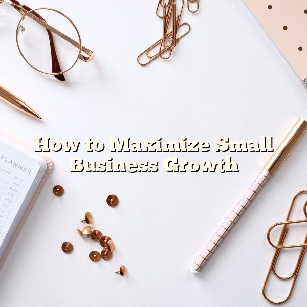 How to Maximize Small Business Growth