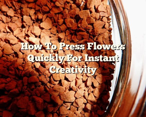 How To Press Flowers Quickly For Instant Creativity