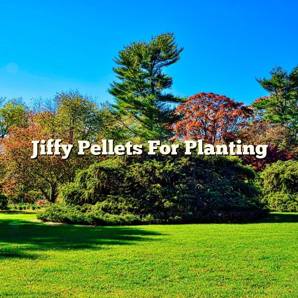 Jiffy Pellets For Planting