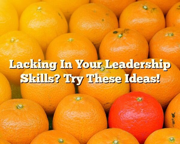 Lacking In Your Leadership Skills? Try These Ideas!