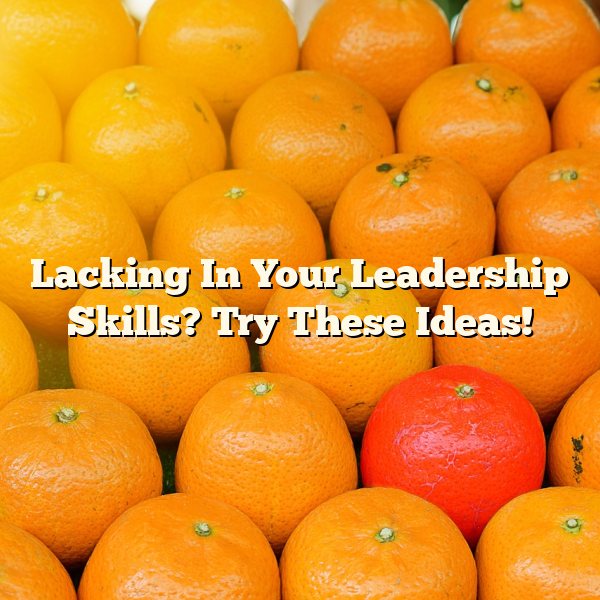 Lacking In Your Leadership Skills? Try These Ideas!