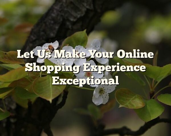 Let Us Make Your Online Shopping Experience Exceptional