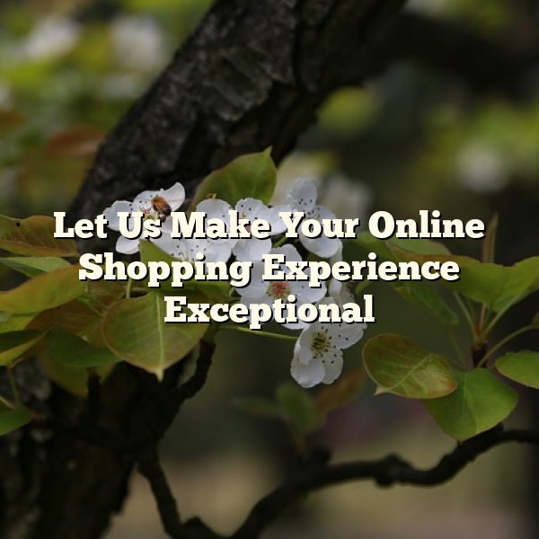 Let Us Make Your Online Shopping Experience Exceptional