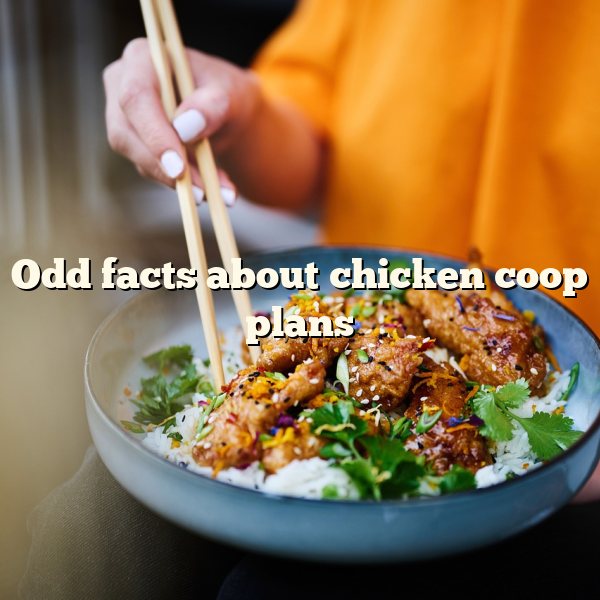 Odd facts about	chicken coop plans