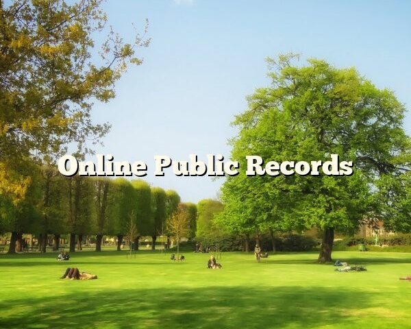 Online Public Records