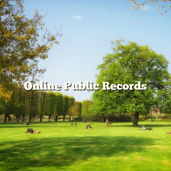 Online Public Records