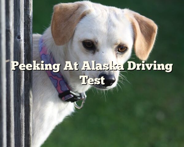 Peeking At Alaska Driving Test