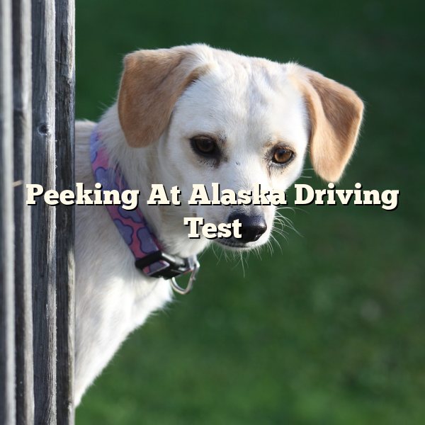 Peeking At Alaska Driving Test