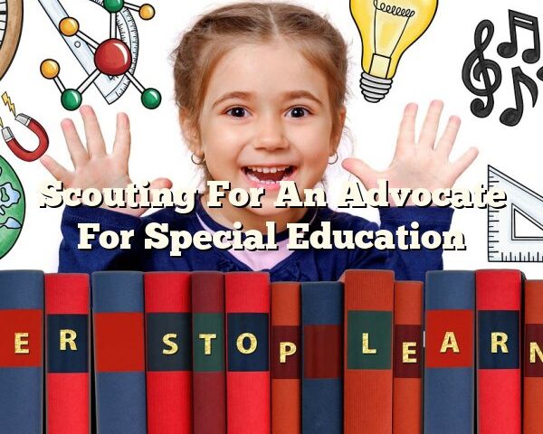 Scouting For An Advocate For Special Education