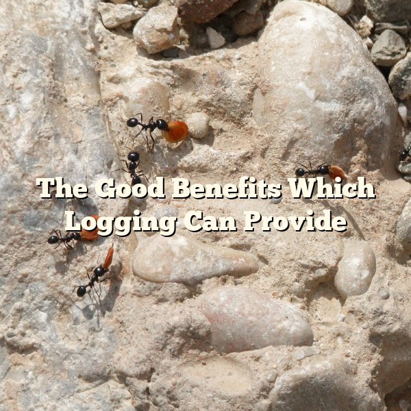 The Good Benefits Which Logging Can Provide