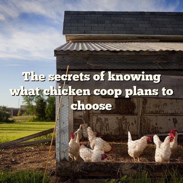 The secrets of knowing what	chicken coop plans	to choose