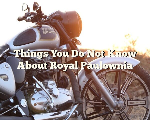 Things You Do Not Know About Royal Paulownia