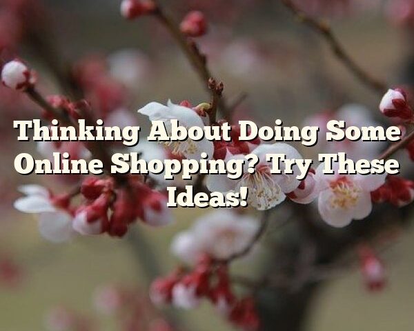 Thinking About Doing Some Online Shopping? Try These Ideas!