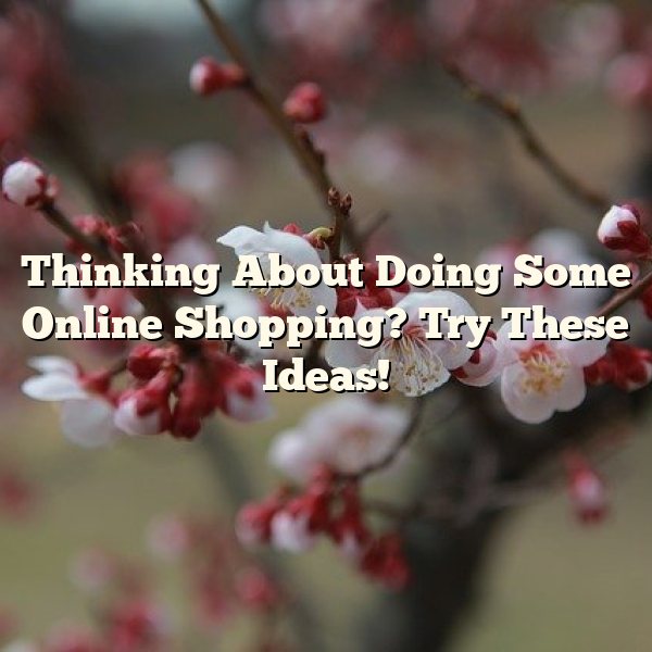 Thinking About Doing Some Online Shopping? Try These Ideas!