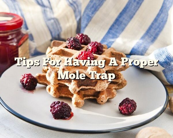 Tips For Having A Proper Mole Trap