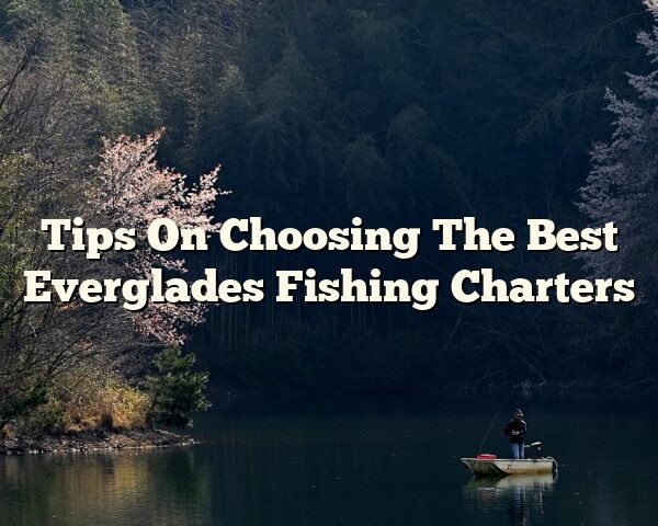 Tips On Choosing The Best Everglades Fishing Charters