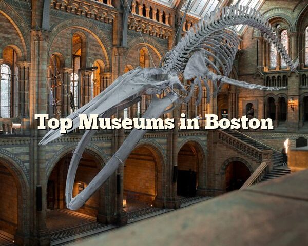 Top Museums in Boston