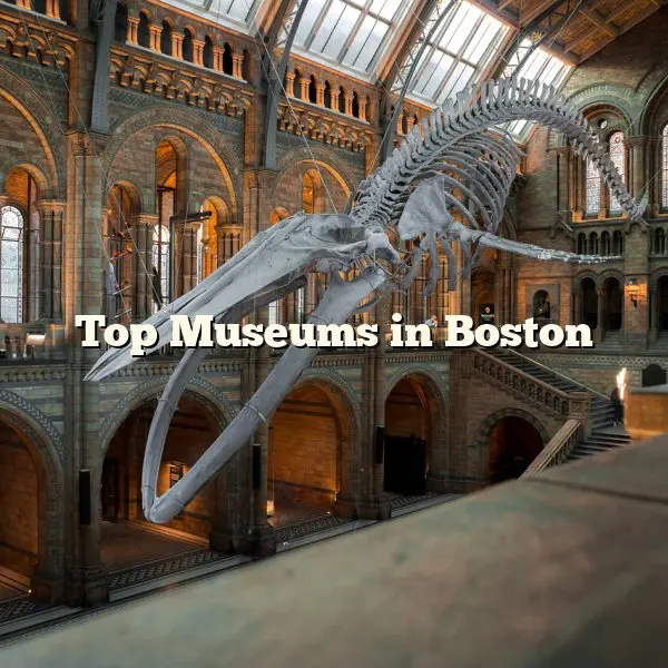 Top Museums in Boston