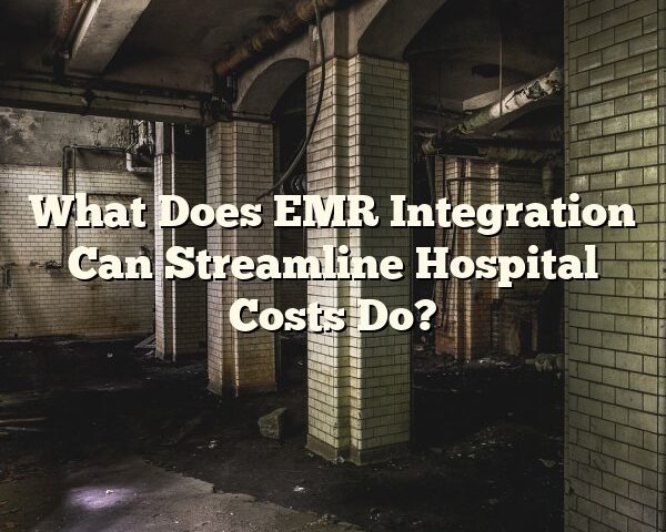 What Does EMR Integration Can Streamline Hospital Costs Do?