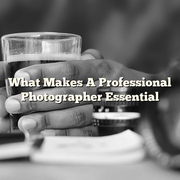 What Makes A Professional Photographer Essential