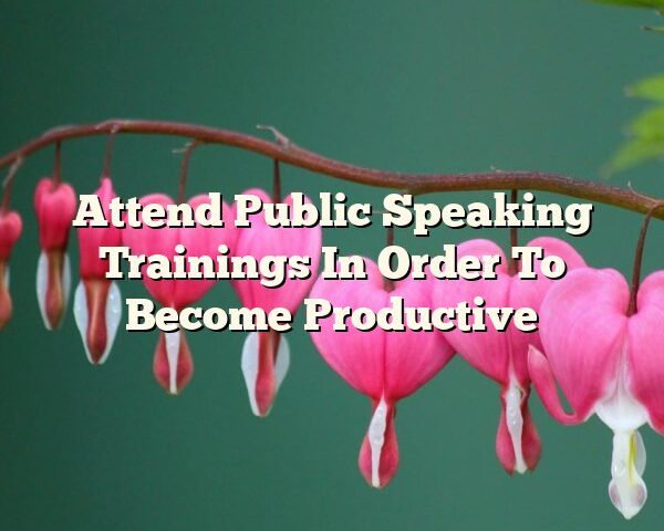 Attend Public Speaking Trainings In Order To Become Productive