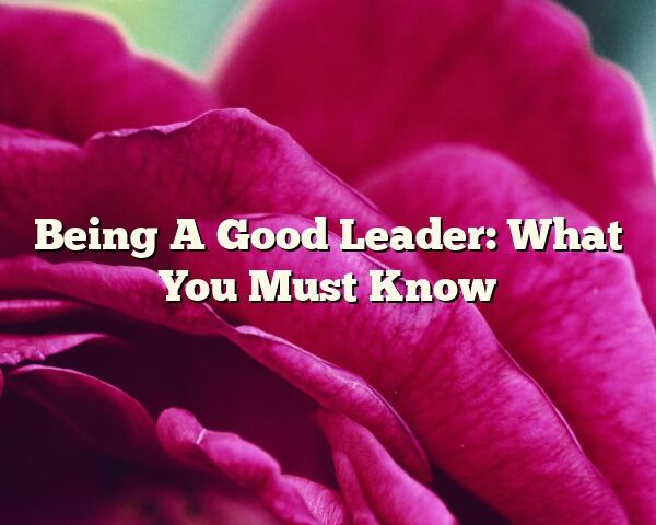 Being A Good Leader: What You Must Know