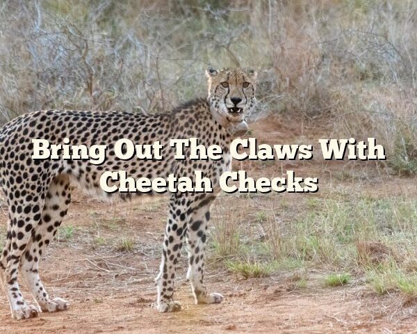 Bring Out The Claws With Cheetah Checks