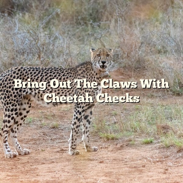 Bring Out The Claws With Cheetah Checks