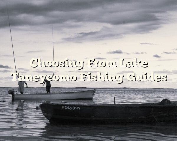 Choosing From Lake Taneycomo Fishing Guides