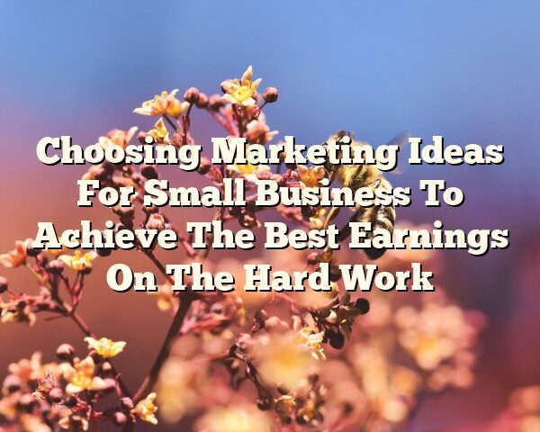 Choosing Marketing Ideas For Small Business To Achieve The Best Earnings On The Hard Work