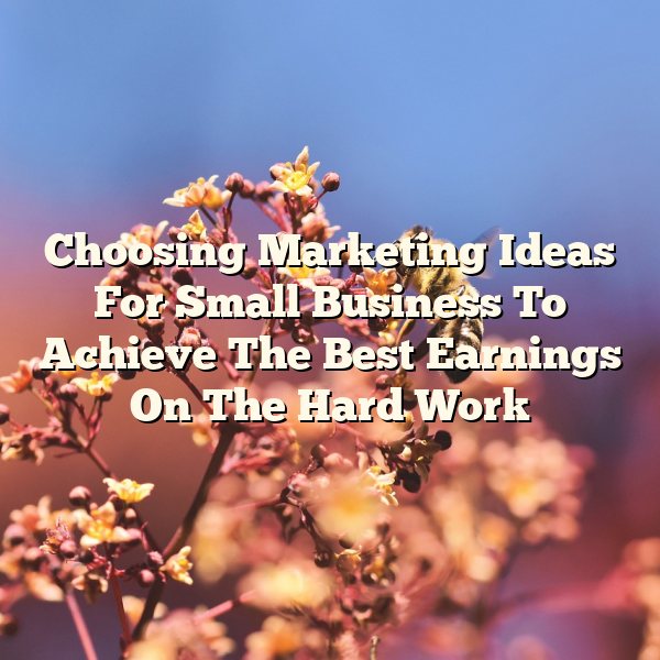 Choosing Marketing Ideas For Small Business To Achieve The Best Earnings On The Hard Work