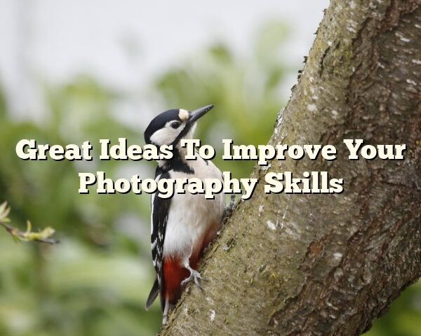 Great Ideas To Improve Your Photography Skills