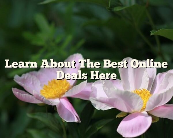 Learn About The Best Online Deals Here