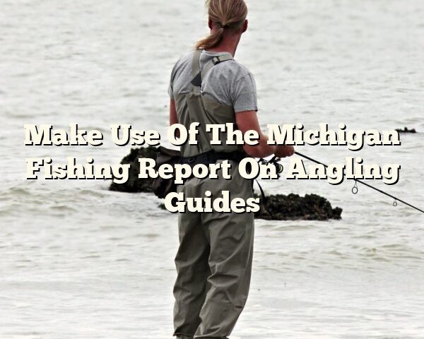 Make Use Of The Michigan Fishing Report On Angling Guides