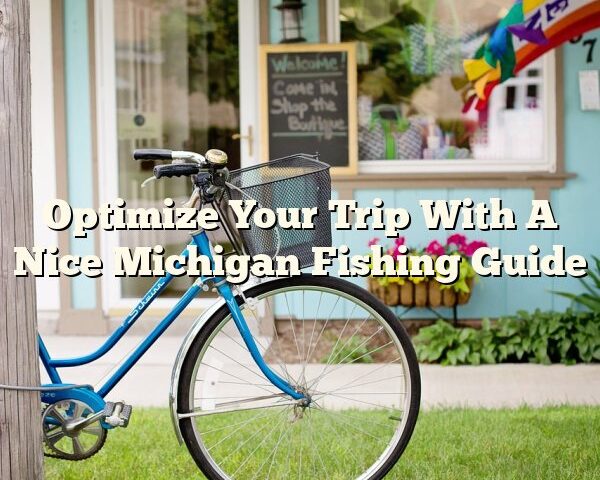 Optimize Your Trip With A Nice Michigan Fishing Guide