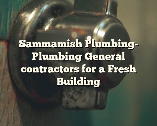 Sammamish Plumbing- Plumbing General contractors for a Fresh Building