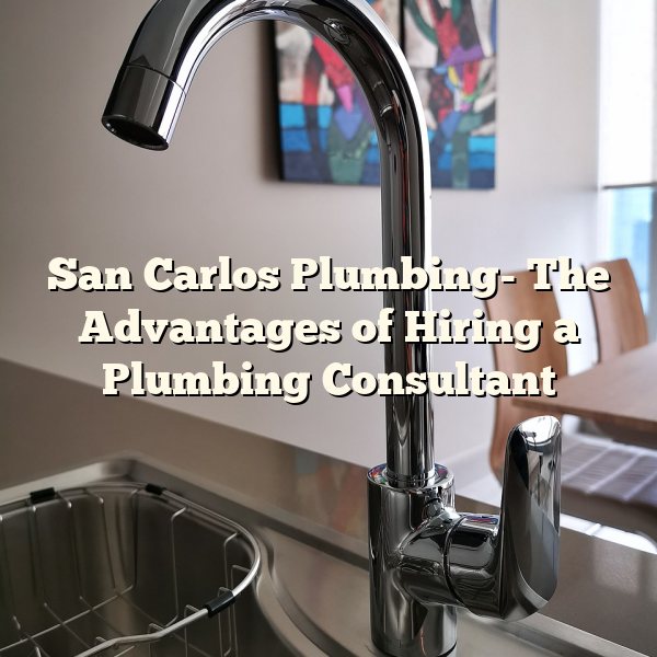 San Carlos Plumbing- The Advantages of Hiring a Plumbing Consultant