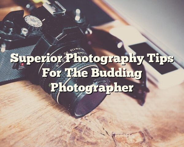 Superior Photography Tips For The Budding Photographer