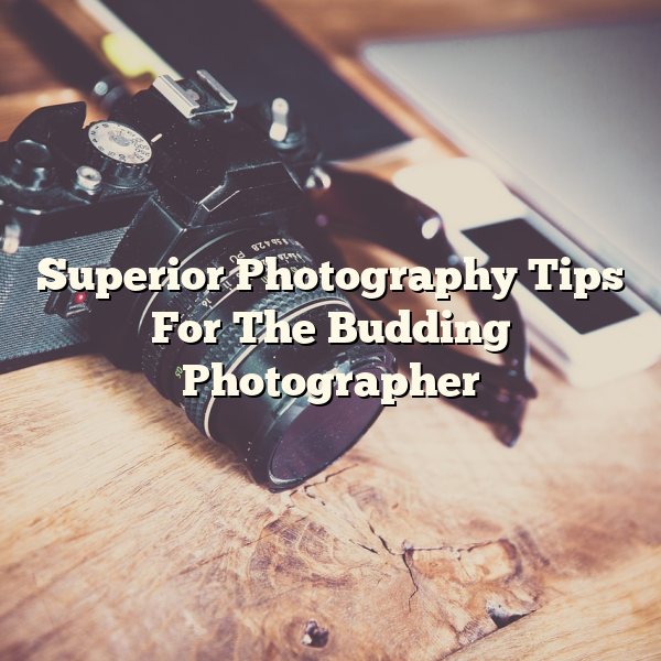 Superior Photography Tips For The Budding Photographer