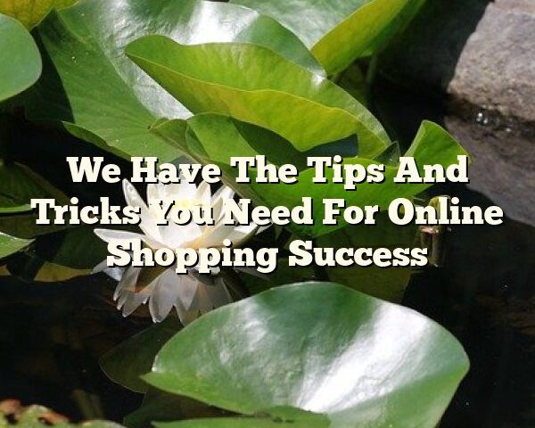 We Have The Tips And Tricks You Need For Online Shopping Success