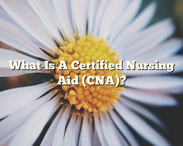 What Is A Certified Nursing Aid (CNA)?