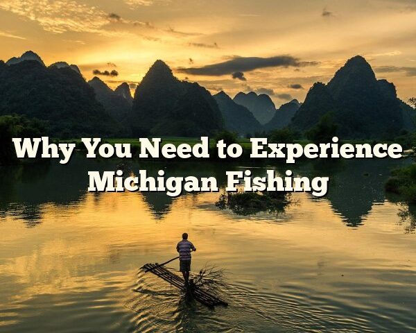 Why You Need to Experience Michigan Fishing