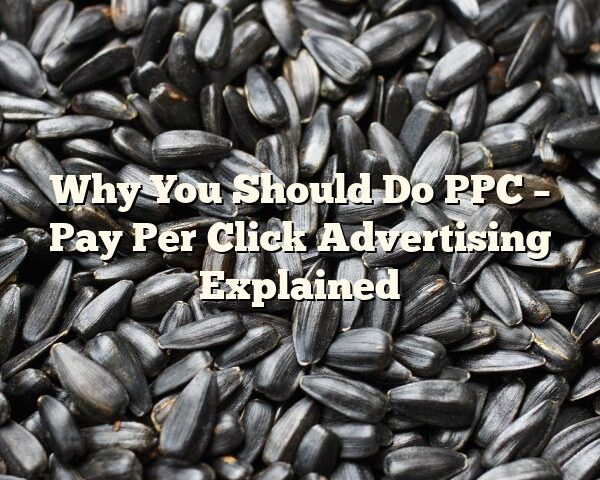 Why You Should Do PPC – Pay Per Click Advertising Explained