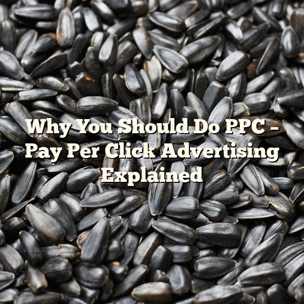 Why You Should Do PPC – Pay Per Click Advertising Explained