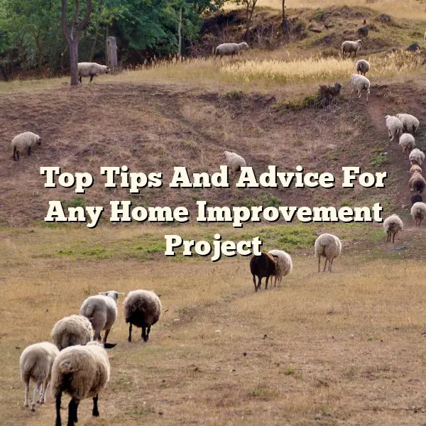 Top Tips And Advice For Any Home Improvement Project
